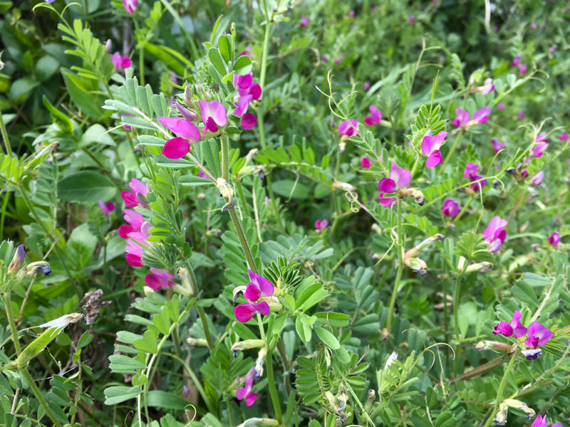 6a92e2a38b2c7429887187c29146b14c7e57cb11.jpg 6a92e2a38b2c7429887187c29146b14c7e57cb11.jpg