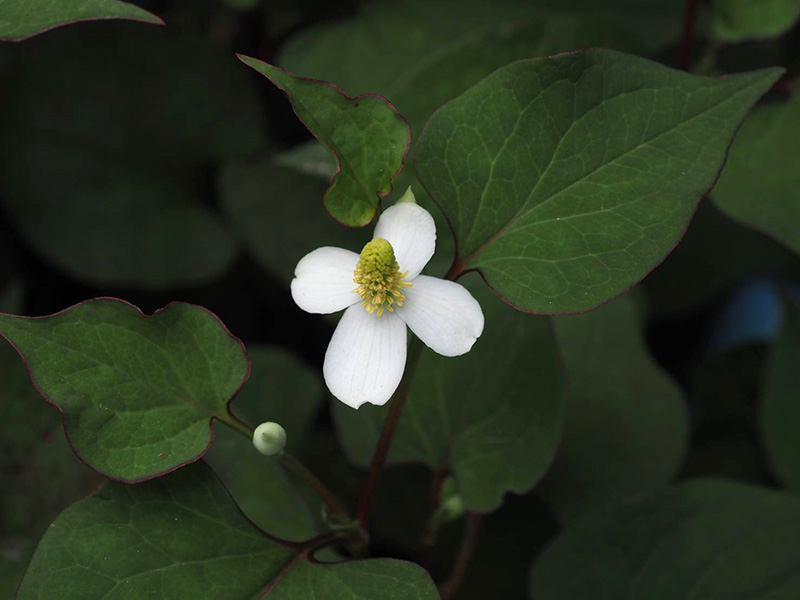 ce2d7b30262b08dcb59f3e08e227d63862af4d4f.jpg ce2d7b30262b08dcb59f3e08e227d63862af4d4f.jpg